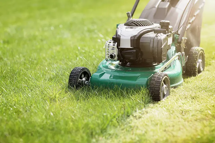 Can You Mow Wet Grass in Chico, CA