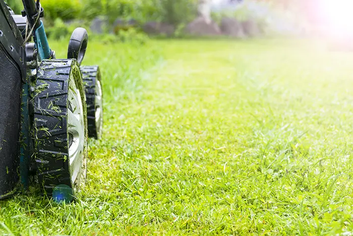 Can You Mow Wet Grass in Chico, CA