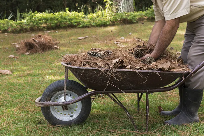 how to clean a backyard in Chico, CA