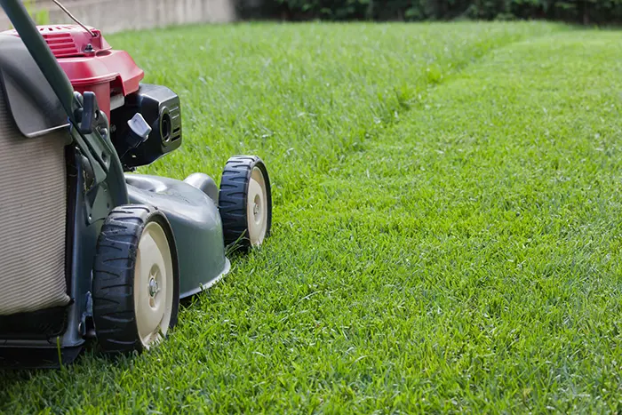 How to Mow a Lawn in Chico, CA