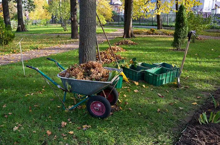 how to clear a yard full of weeds in Chico, CA