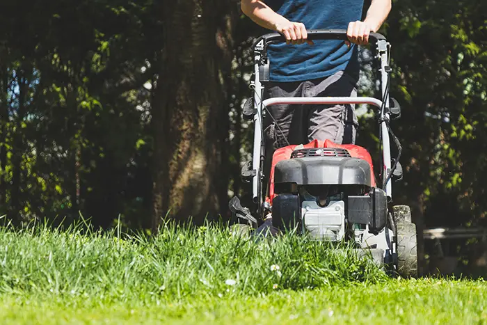 Lawn Mowing in Chico, CA