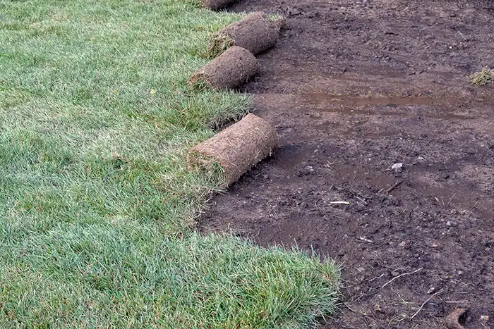 Sod Installation in Chico, CA