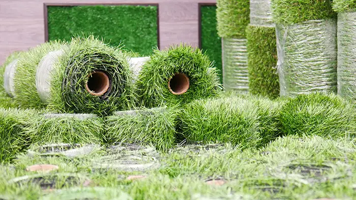 Sod Installation in Chico, CA