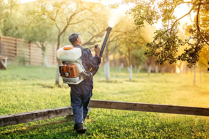 When is the best time to fertilize your lawn in Chico, CA