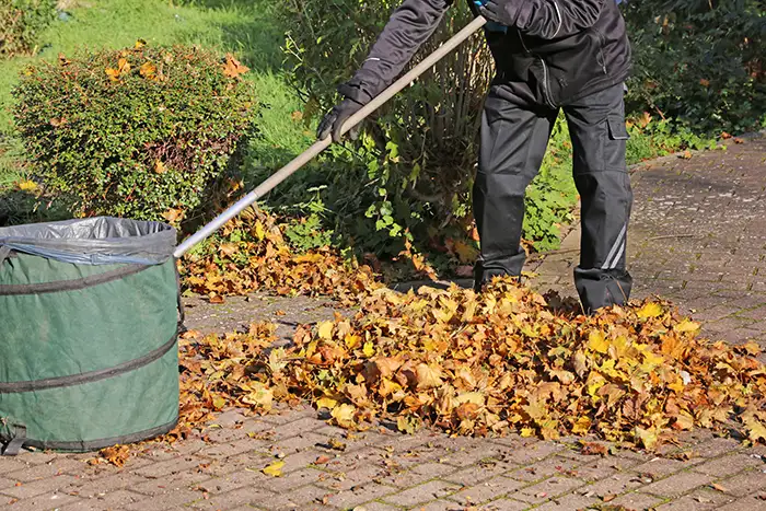 Yard Cleanup in Chico, CA