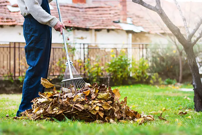 Yard Cleanup in Chico, CA