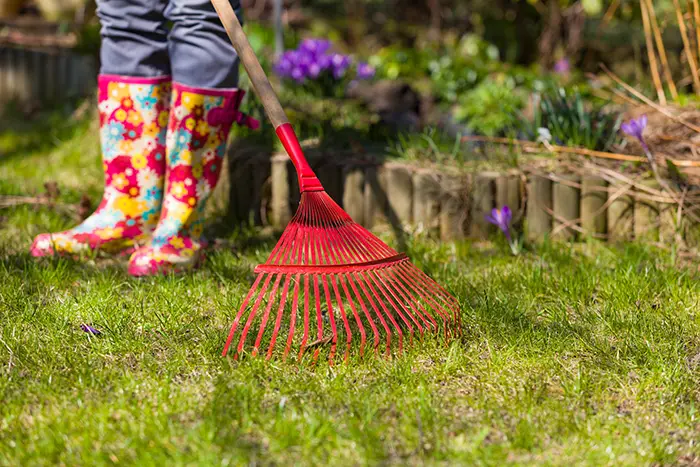 Yard Cleanup in Chico, CA