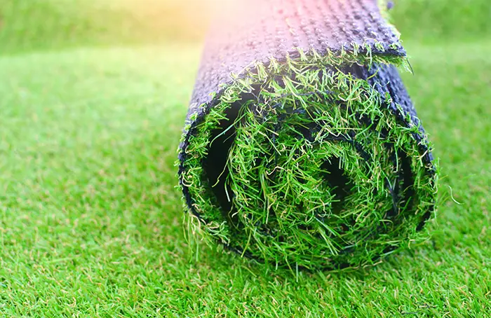 how long after installing sod can you walk on it in Chico, CA